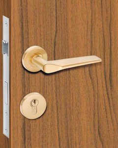 PVD Finish Mortice Handle