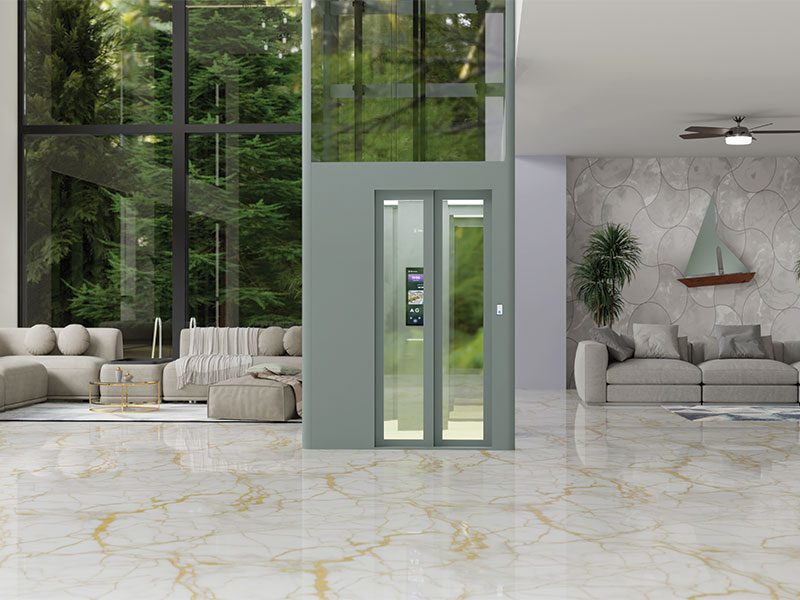 Elite Elevators: Redefining Home Mobility in India