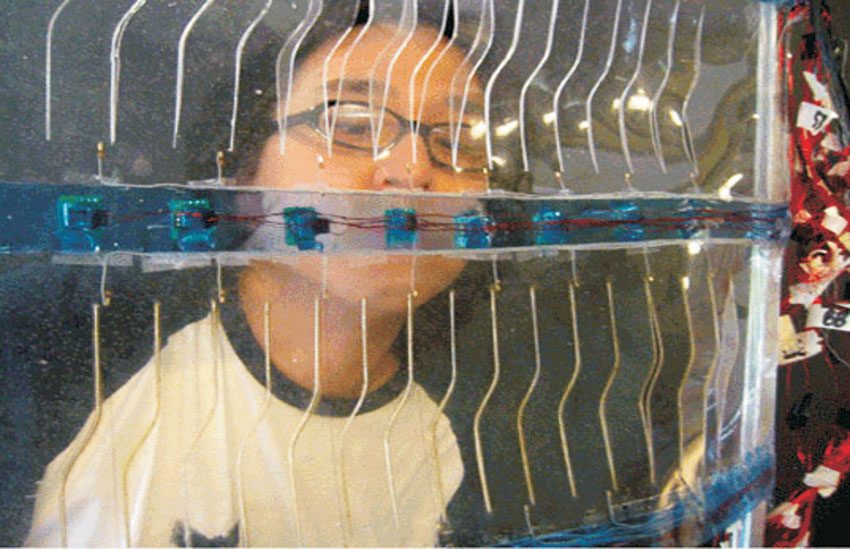 Living Glass: Design and Health in Synergy