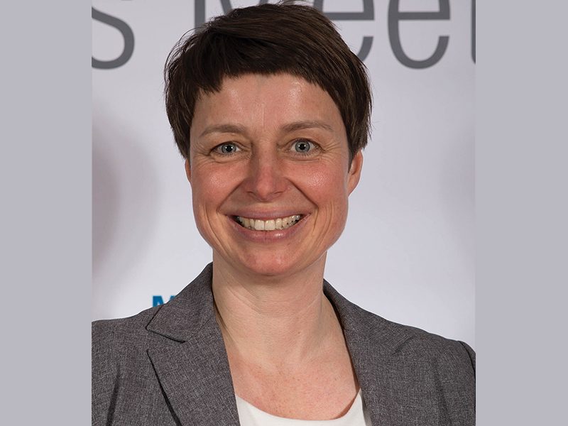 Mehler used in roof structures