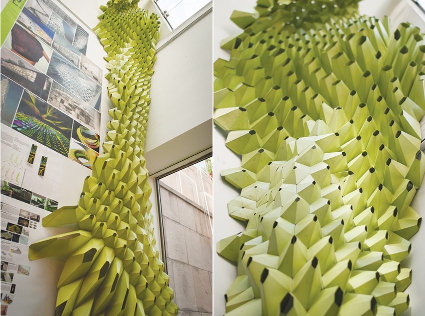 Cellular Morphology Facade