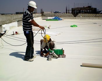 TPO water-proof membrane