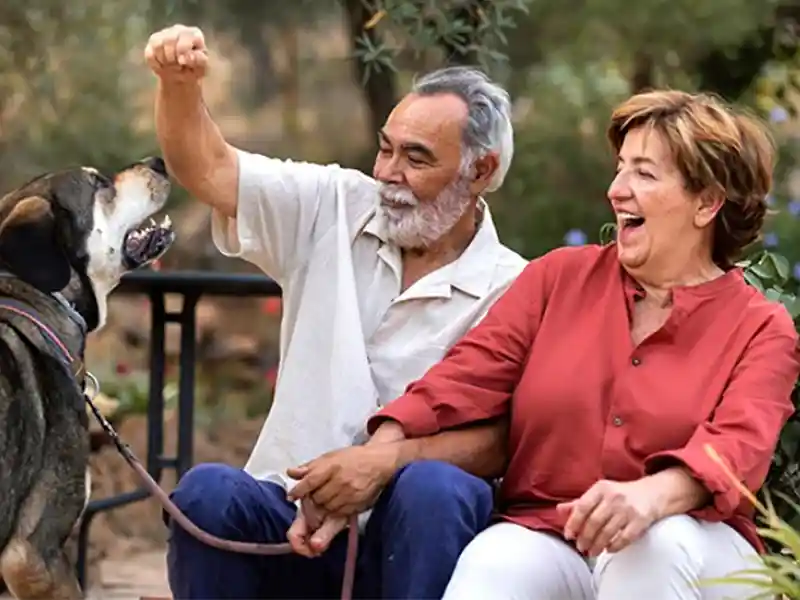 Senior living maket in india
