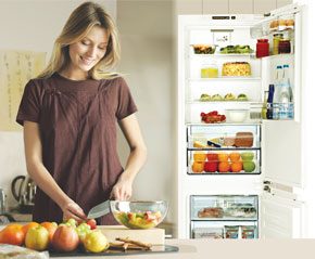 Hafele Nagold Refridgerator