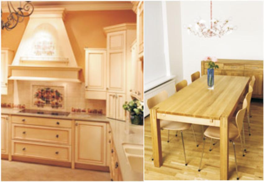Greenply Forays plywood