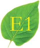 Sauerland E-1 Emission