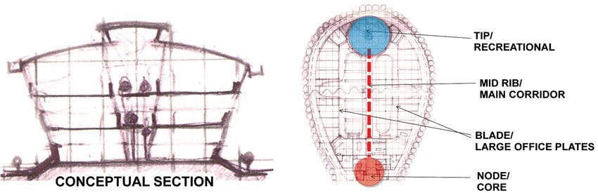 Directorate Complex Conceptual Section