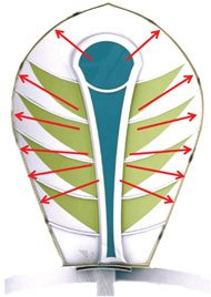 Directorate Complex Sustainability