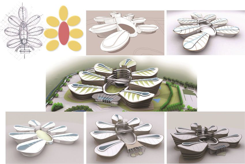 Directorate Complex Form Evolution