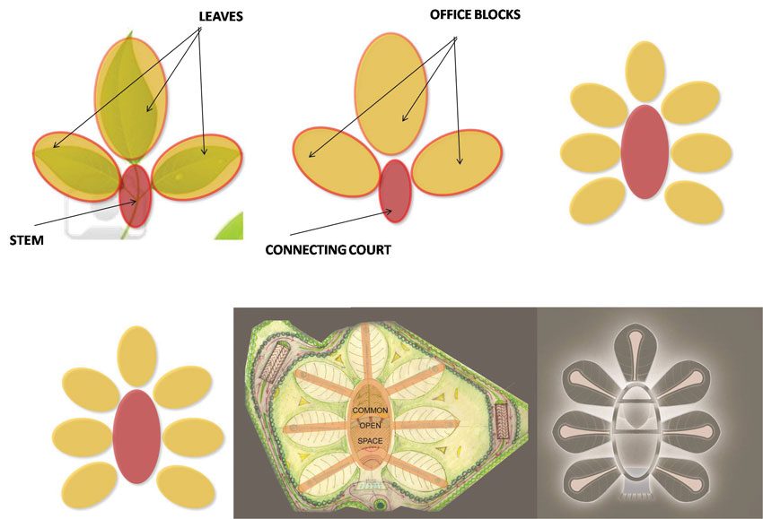 Directorate Complex Infographics