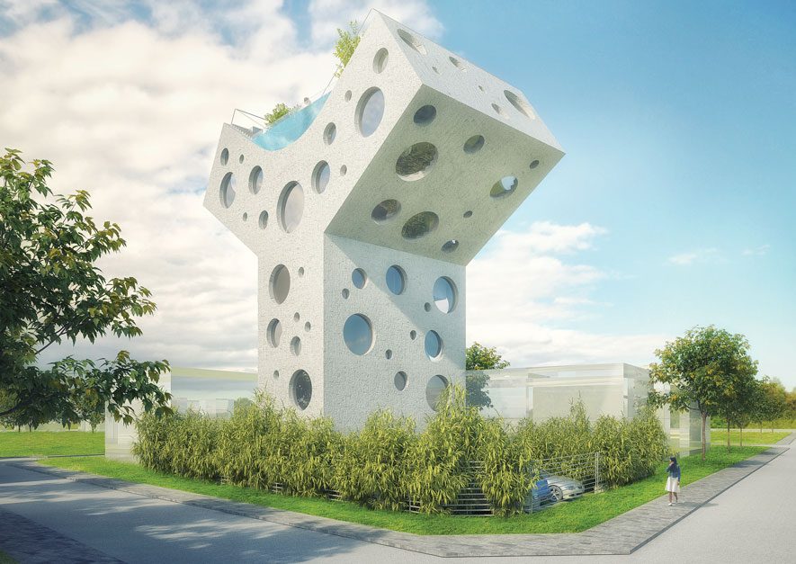 Y Shaped House