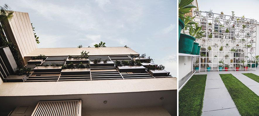 Casa Green Lattice