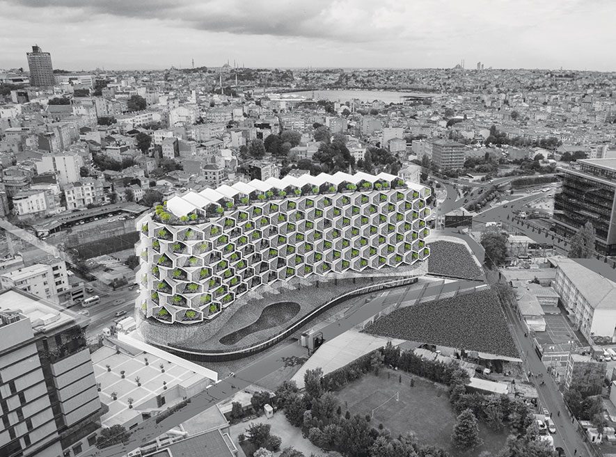 Urban Rural Hybrid Habitation in Istanbul