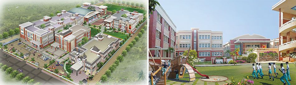 Cygnus School