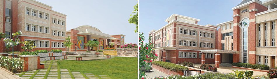 Cygnus School