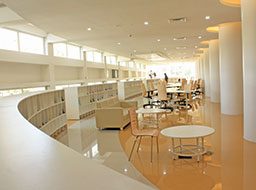 Reimagining a Library’s Architecture in the Digital Age
