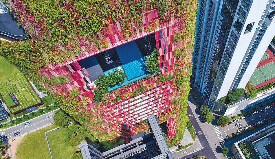 A Tropical Skyscraper