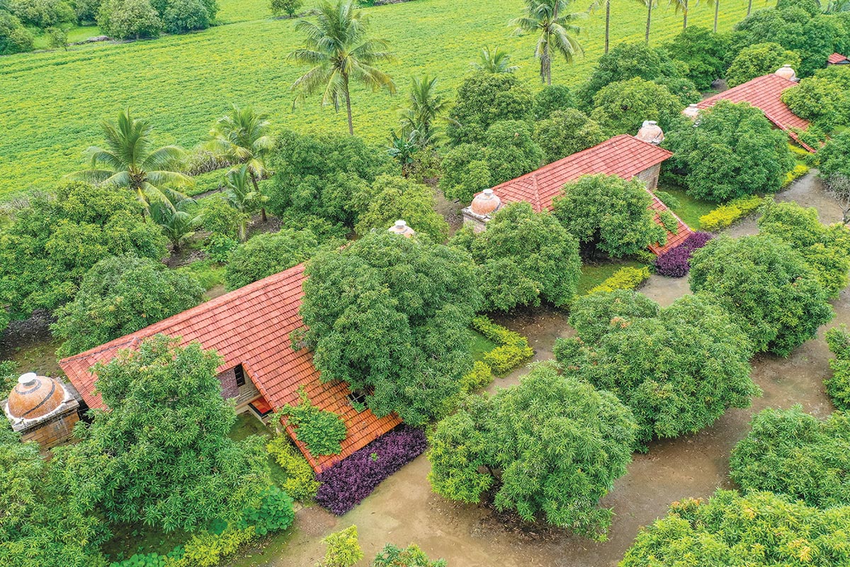 Cottages Designed Around Trees
