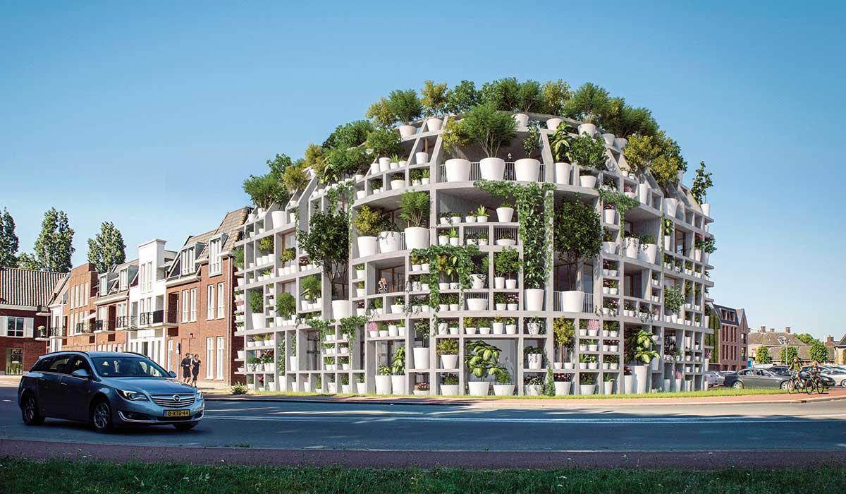 Environmentally Progressive - The Green Villa