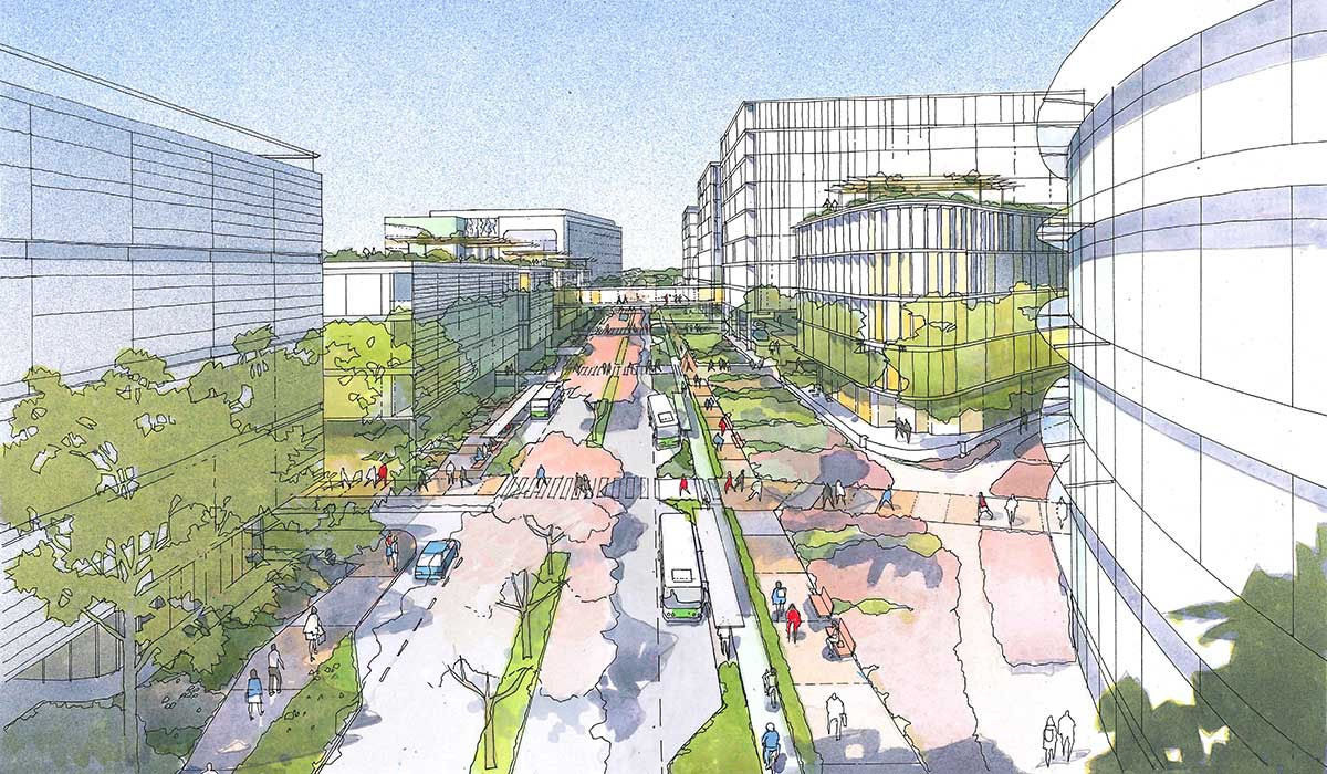 A Roadmap for Future of QEIIMC Campus