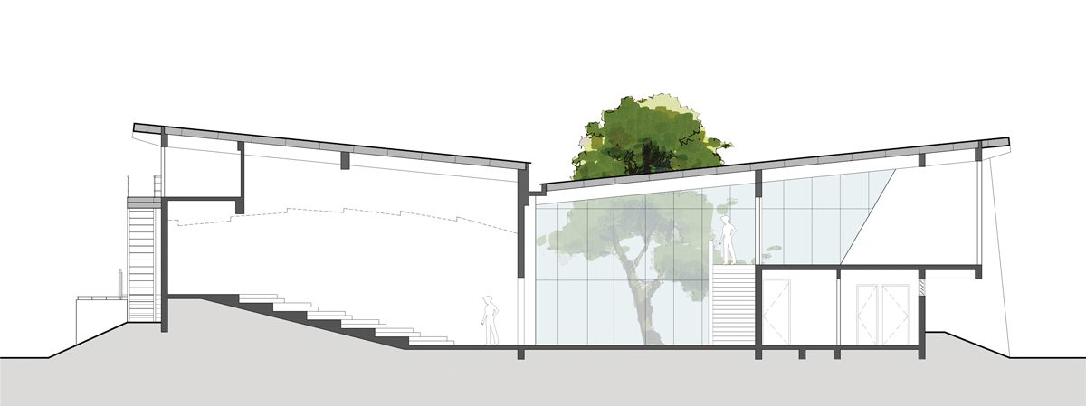 SSA designs state-of-the-art building in a garden flanked by tall trees