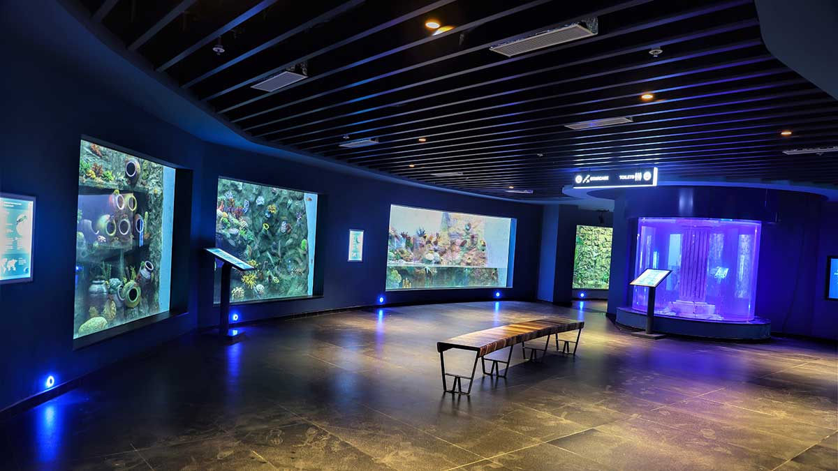 Aquatic Gallery: Merging Science Education with Entertainment