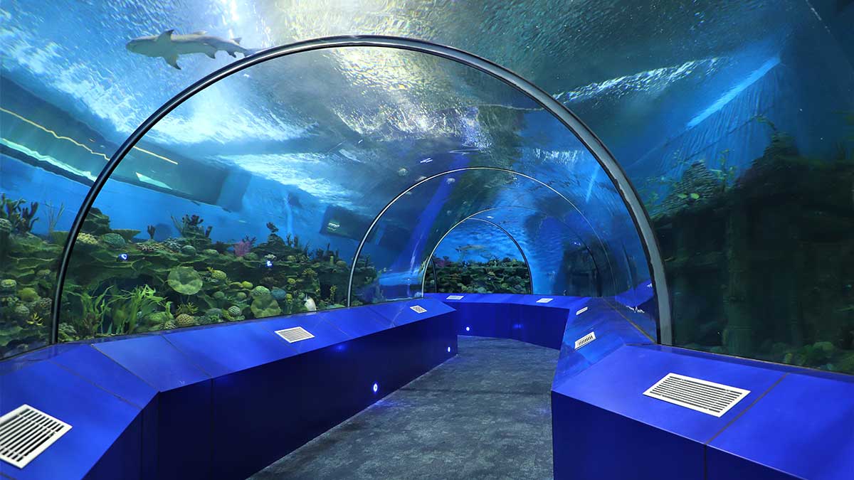 Aquatic Gallery: Merging Science Education with Entertainment
