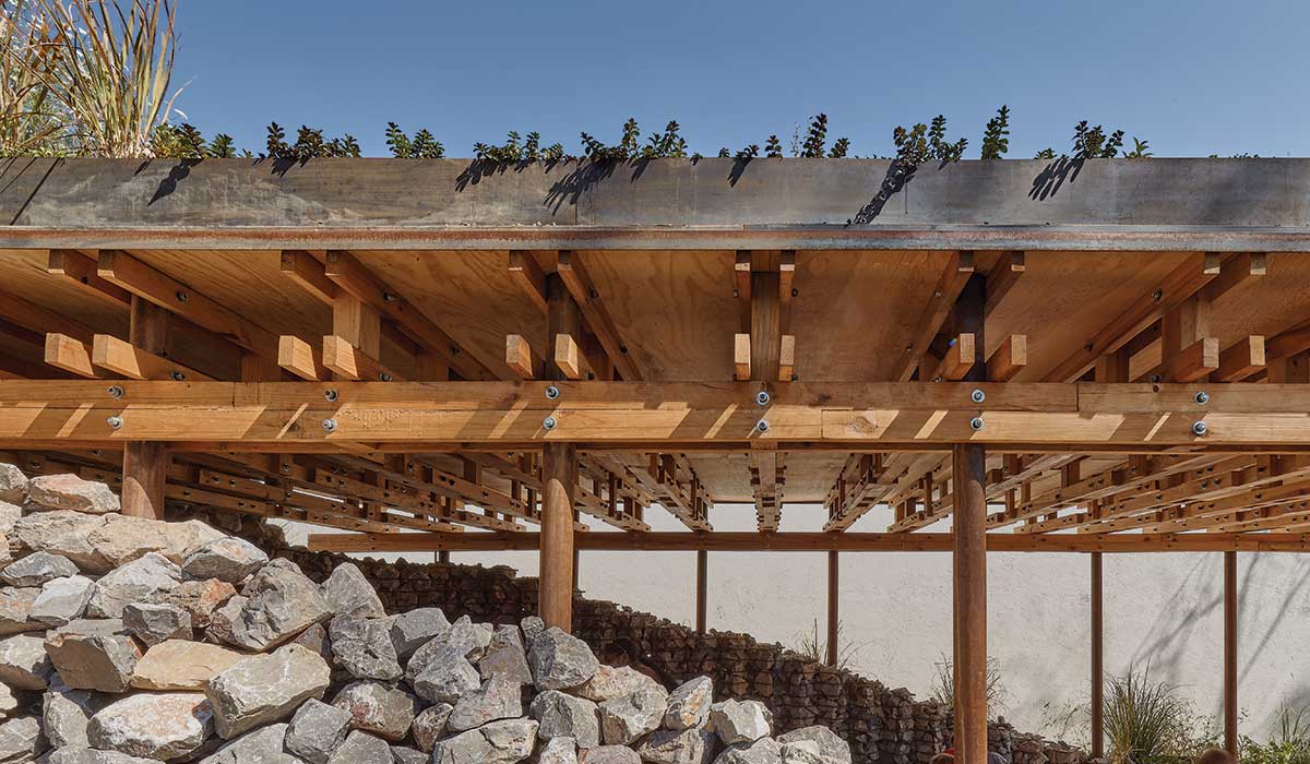VERTEBRAL’s design and construction of El Terreno