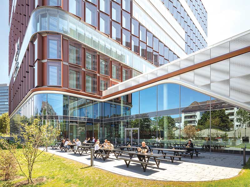 A Social, Meaningful & Healthy Work Environment