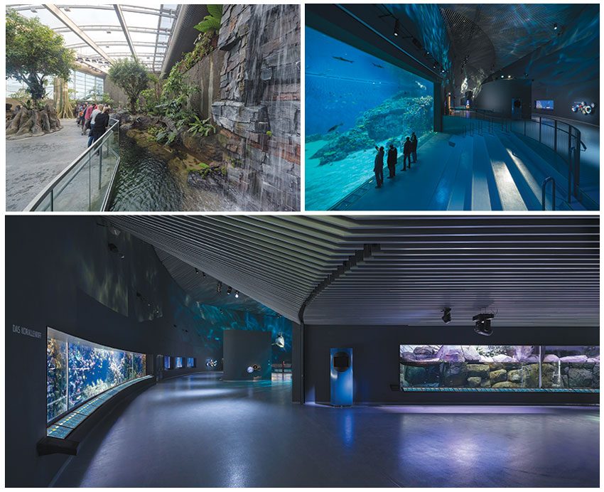 Blue-Planet-Aquarium