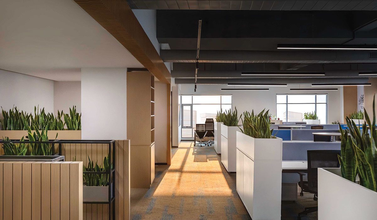 a new office designed by Morphogenesis in Gurugram
