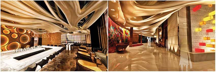 Desert Butterfly Interior
