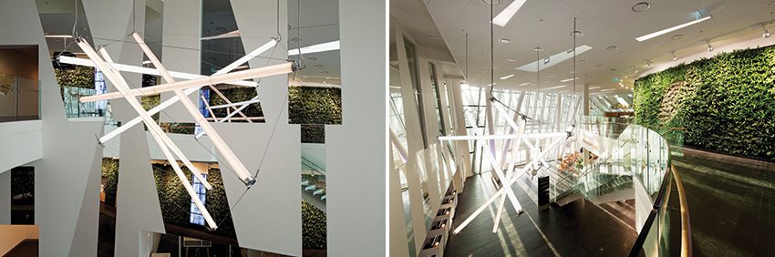The Bella Chandelier