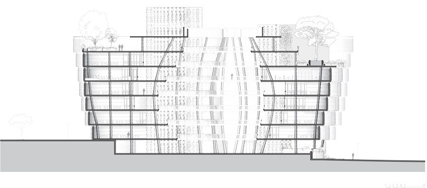 Learning Hub Section