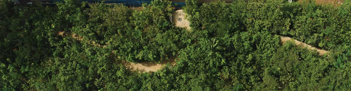 JP Infra introduces the first Urban Forest in a residential township