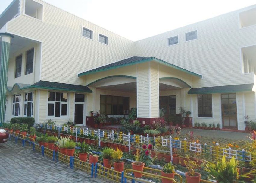 Wolverine Encore Light Maple Doon Global School Dehradun