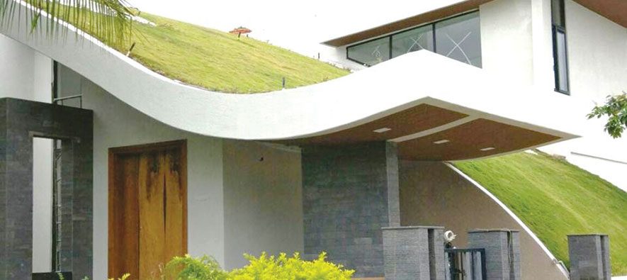 Green roof