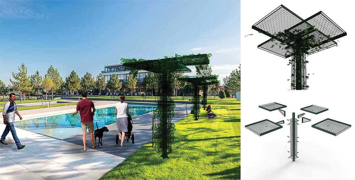 A Natural Biophilic Element