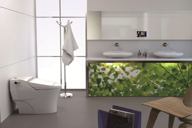 Shower Toilets