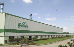 Greenply