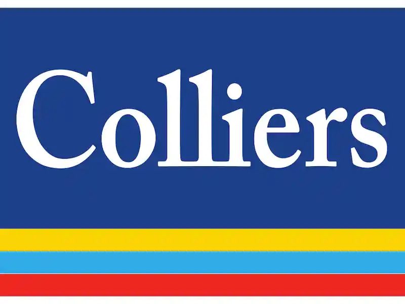 Colliers India Protean eGov Technologies Ltd.
