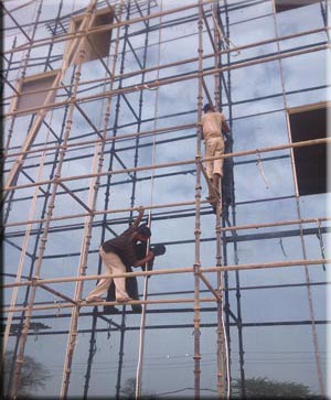 fenestration