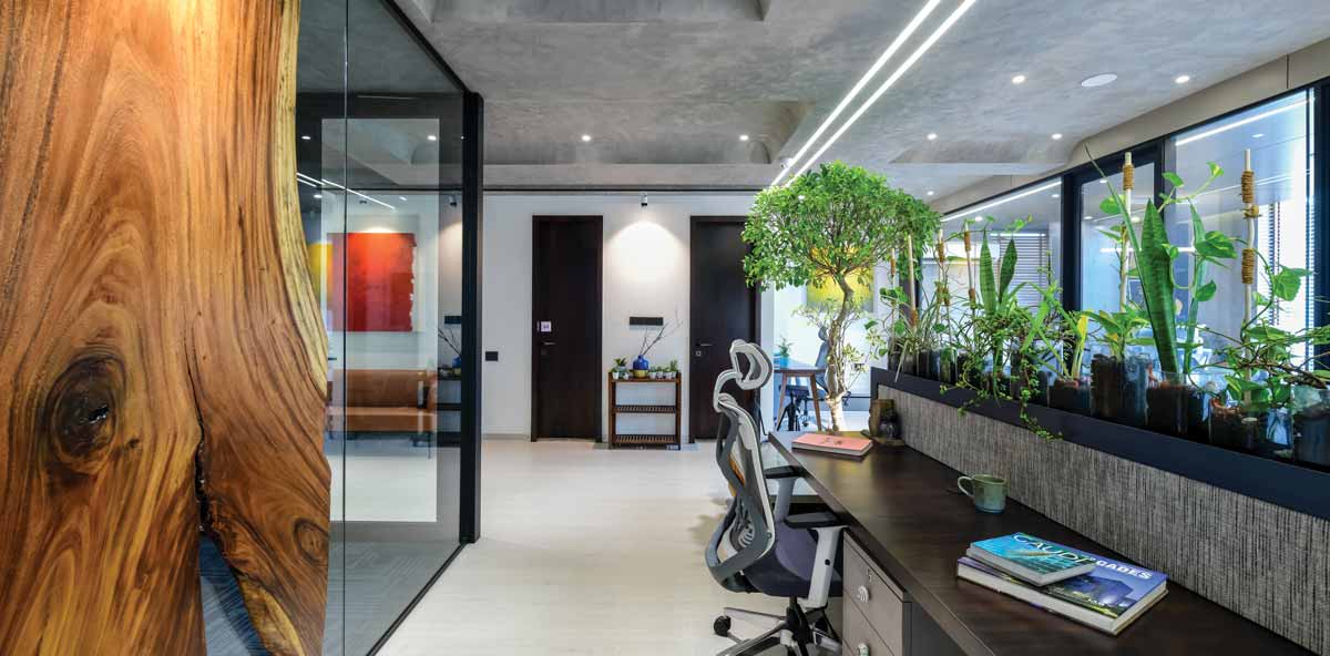 Evaluating the Indoor Environmental Quality (IEQ) of an Office