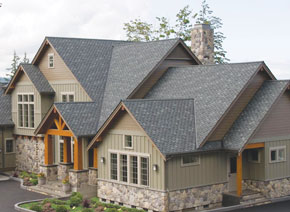 Petroguard Shingles