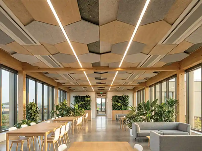 Green-Office-Acoustic-Ceiling