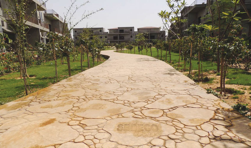 PARAMOUNT GOLF FORREST