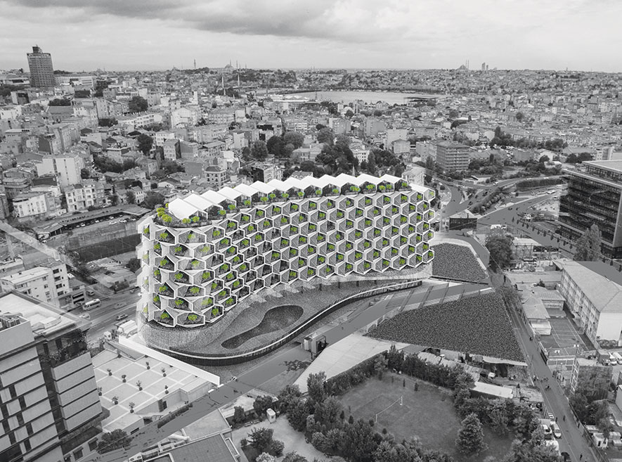 Urban Rural - Hybrid Habitation in Istanbul