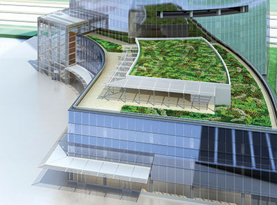 plaza roof top