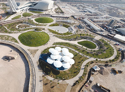 Green Lung in Desert