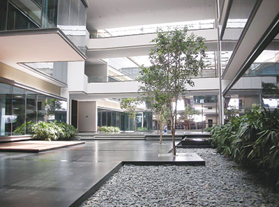 Exemplifying Sustainability